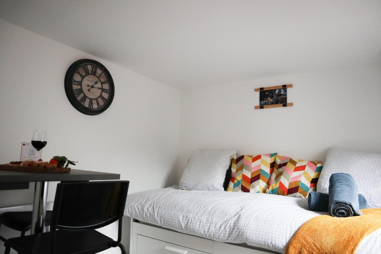 Le Domaine Mulhousien Apartment Mulhouse Luaran gambar