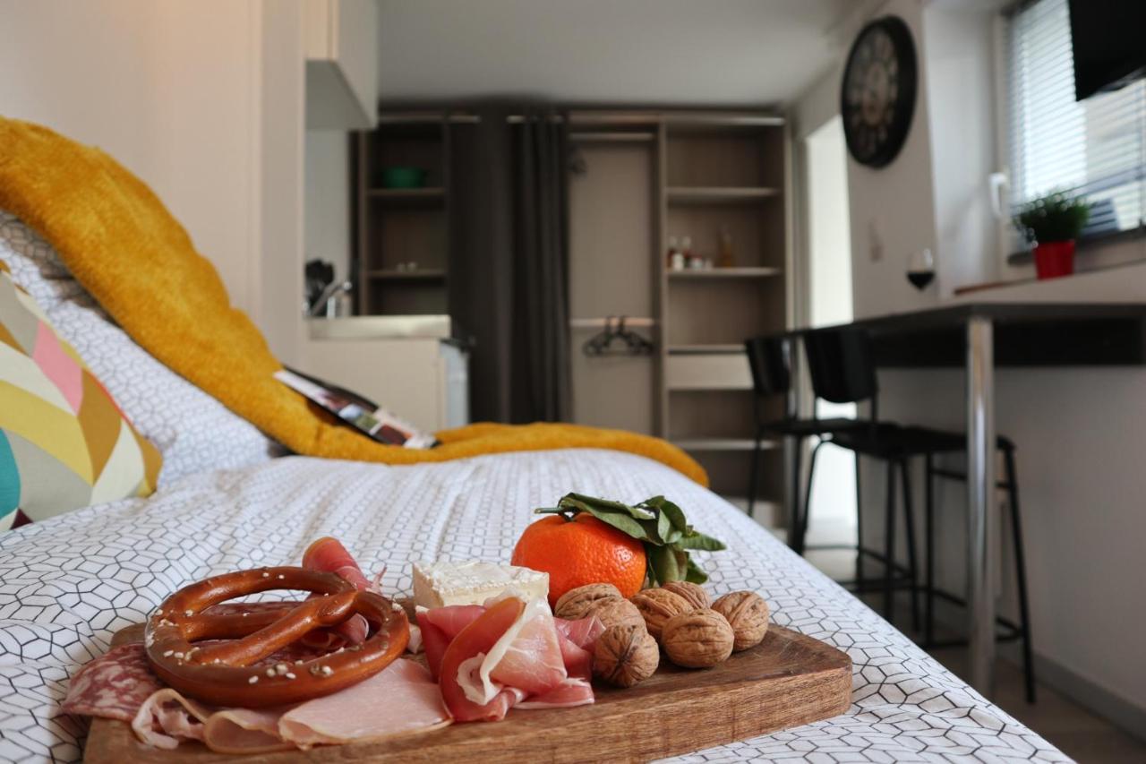 Le Domaine Mulhousien Apartment Mulhouse Luaran gambar