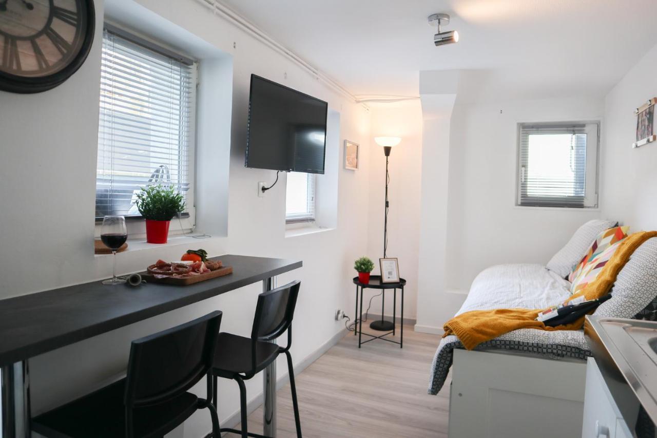 Le Domaine Mulhousien Apartment Mulhouse Luaran gambar