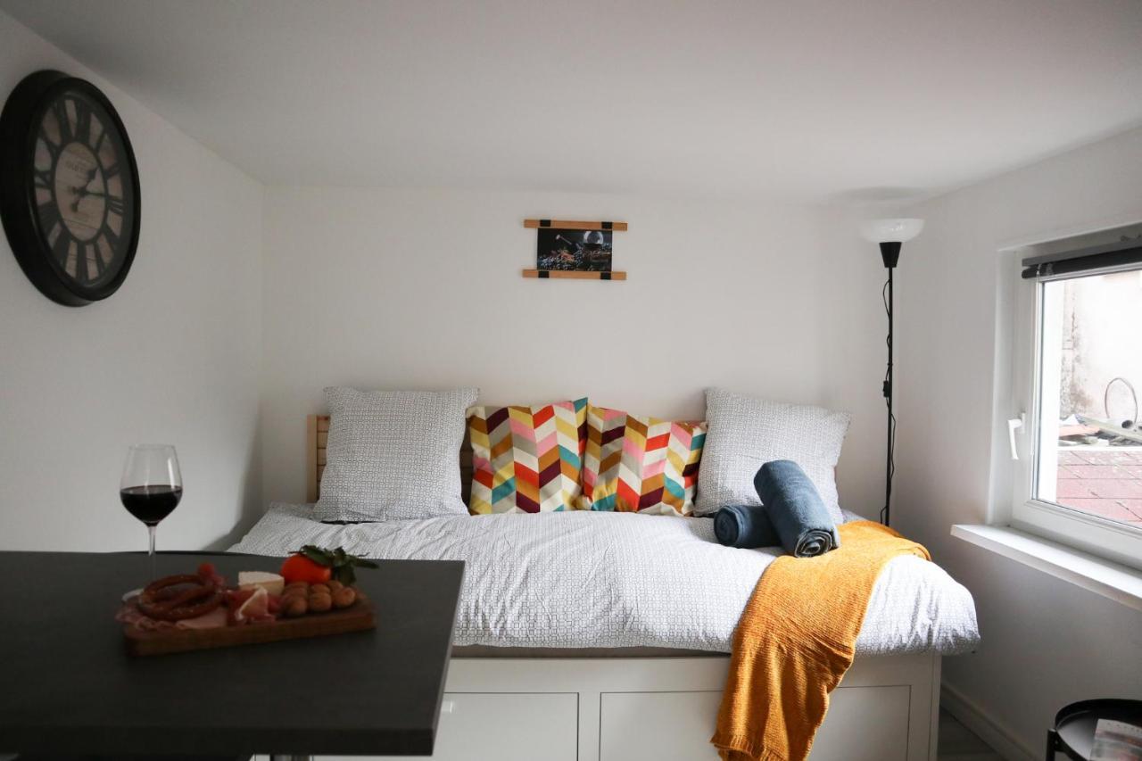 Le Domaine Mulhousien Apartment Mulhouse Luaran gambar